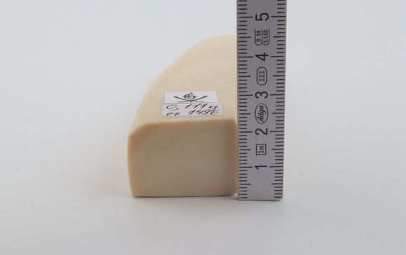 White mammoth ivory segment