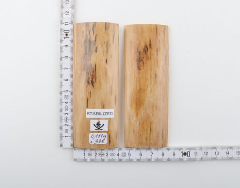 Stabilised mammoth bark scales