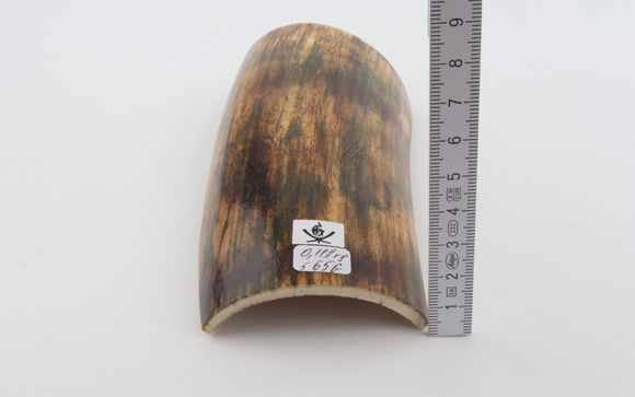 Natural mammoth bark