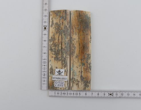 Stabilized mammoth bark scales