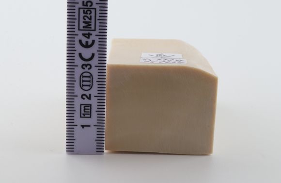 White mammoth ivory segment