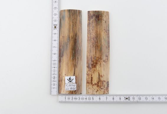 Natural mammoth bark scales