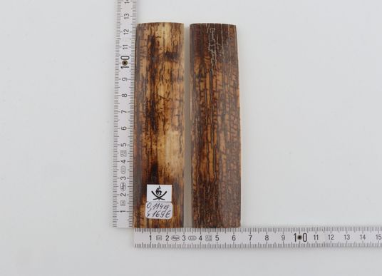 Natural mammoth bark scales