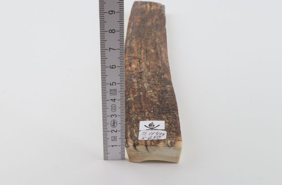 Brown mammoth bark