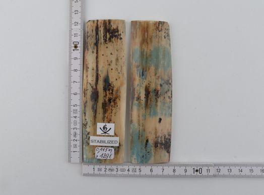 Stabilised mammoth bark scales
