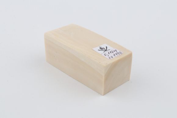 White mammoth ivory segment
