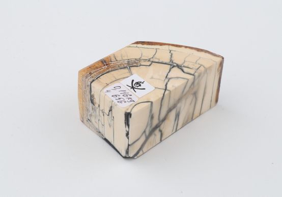 Stabilized mammoth ivory piece