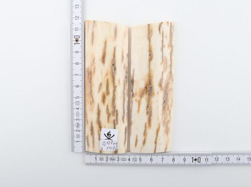 Natural mammoth bark scales