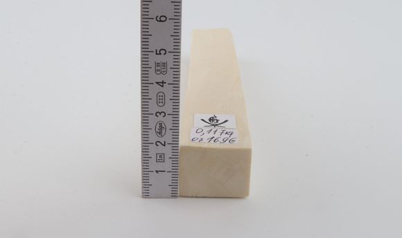 White mammoth ivory segment