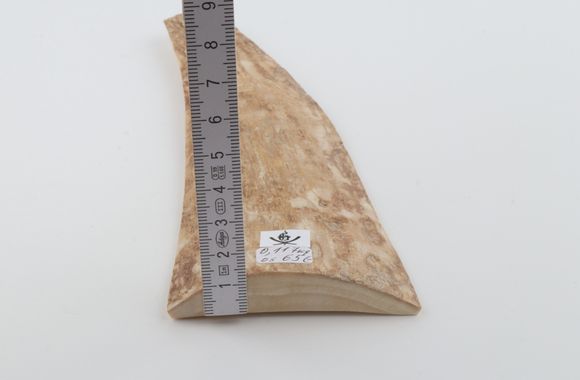 Beige mammoth bark