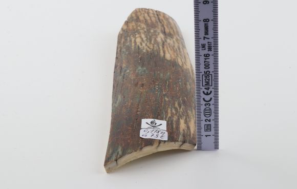 Natural woolly mammoth bark