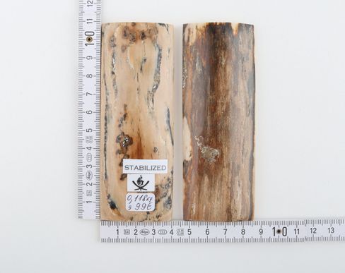 Stabilised mammoth bark scales
