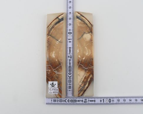 Stabilized mammoth ivory scales