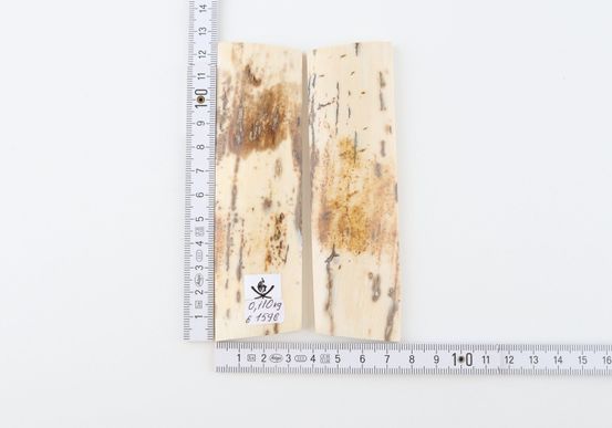 Natural mammoth bark scales