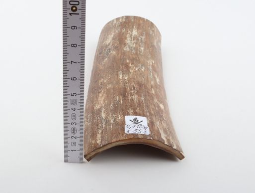 Brown-mustard mammoth bark
