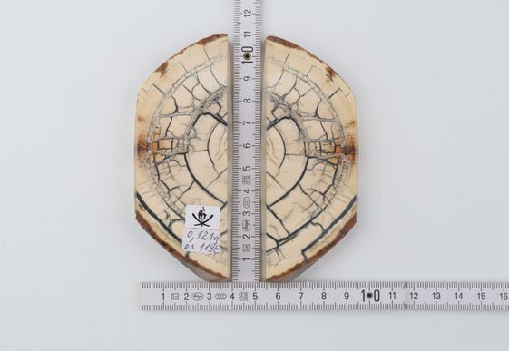 Stabilised mammoth ivory scales