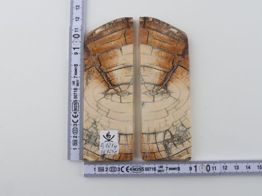 Stabilised mammoth ivory scales