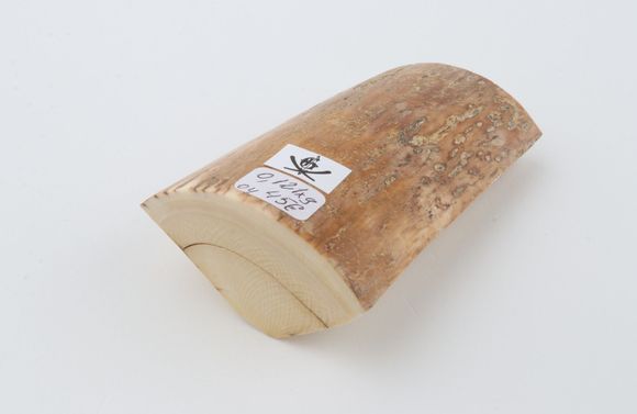 Natural mammoth ivory piece