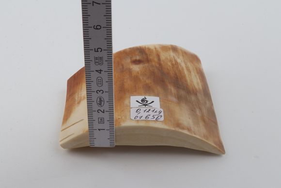 Yellow-orange mammoth bark