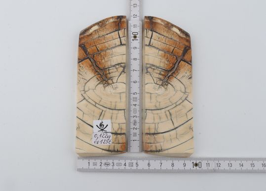 Stabilised mammoth ivory scales