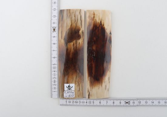 Natural mammoth bark scales