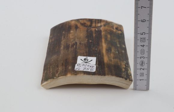 Brown-green mammoth bark