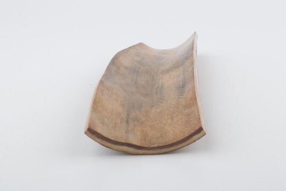 Beige mammoth bark