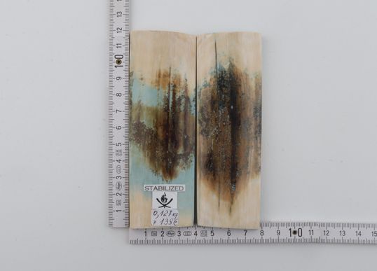 Stabilised mammoth bark scales