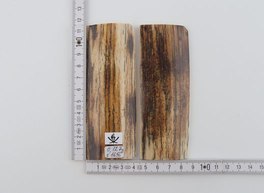Natural mammoth bark scales