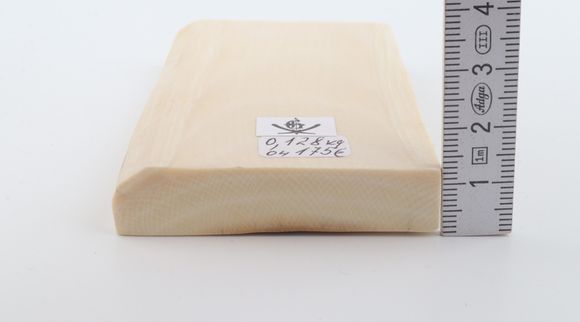 White mammoth ivory segment