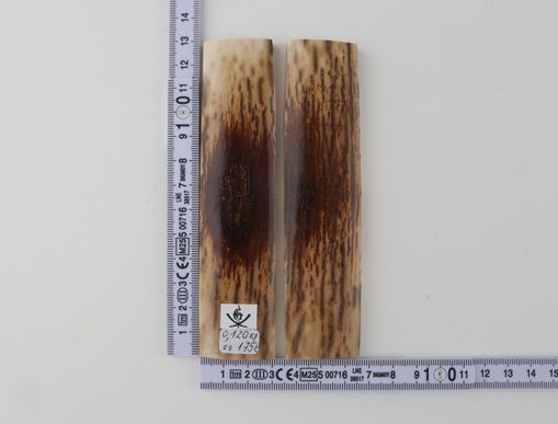 Natural mammoth bark scales