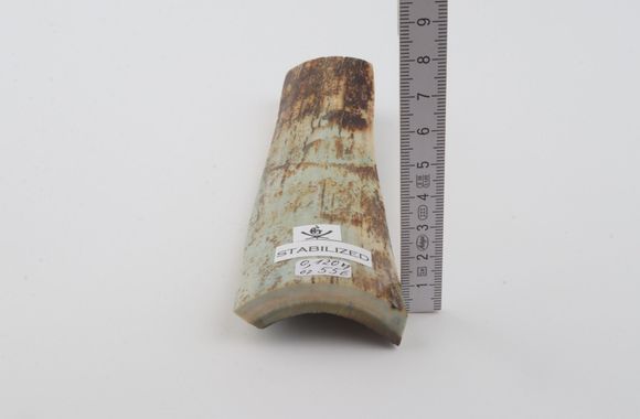 Stabilised mammoth bark