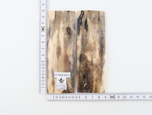 Stabilized mammoth bark scales