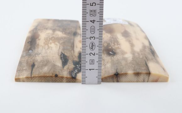 Stabilized mammoth bark scales