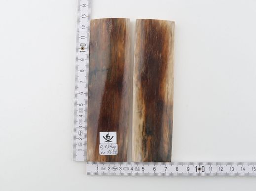 Natural mammoth bark scales