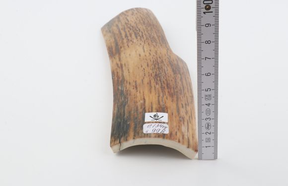 Natural mammoth bark