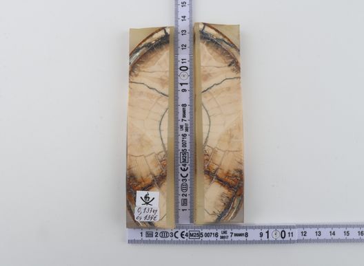 Stabilized mammoth ivory scales