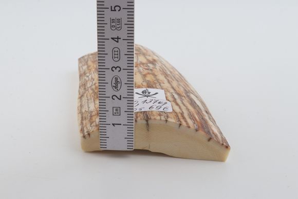 Natural mammoth ivory piece