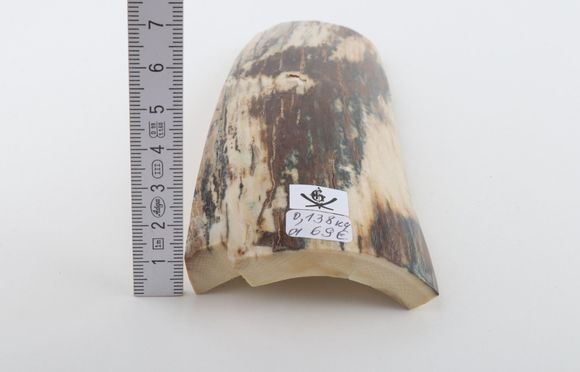 Natural woolly mammoth bark