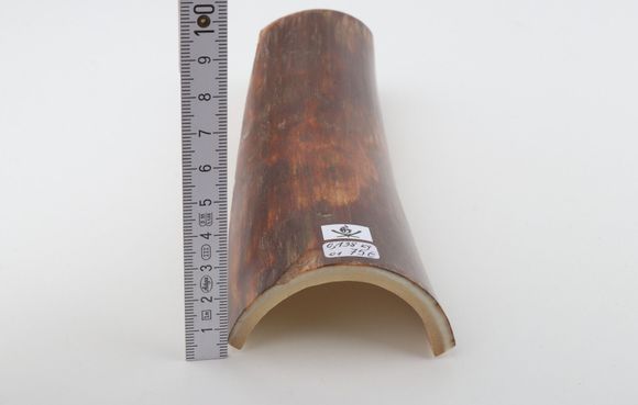 Brown-red mammoth bark
