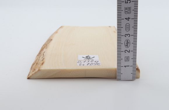 White mammoth ivory segment