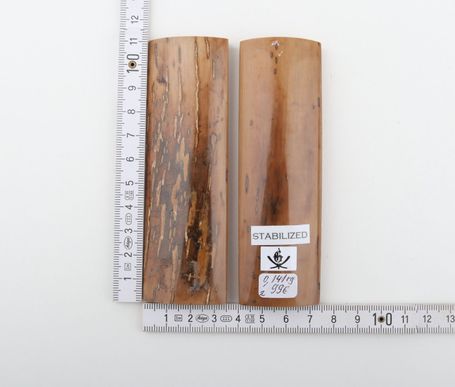 Stabilised mammoth bark scales