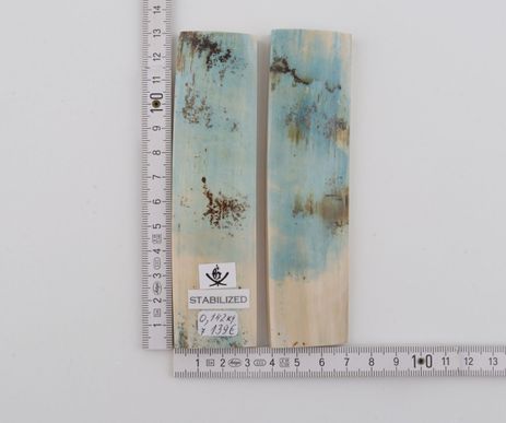 Stabilized mammoth bark scales