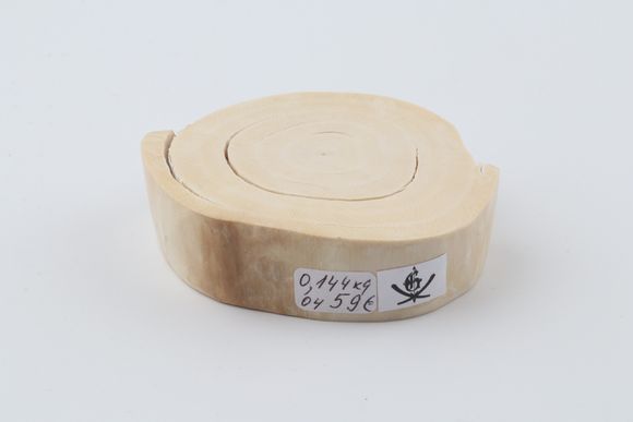 Round mammoth tusk piece