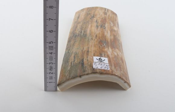 Beige-green mammoth bark