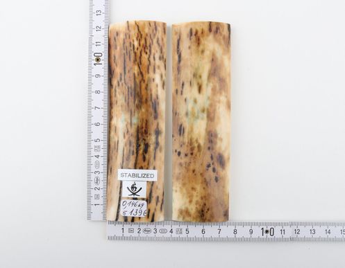 Stabilized mammoth bark scales