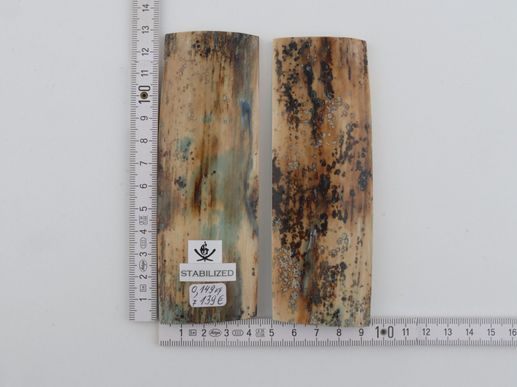Stabilised mammoth bark scales