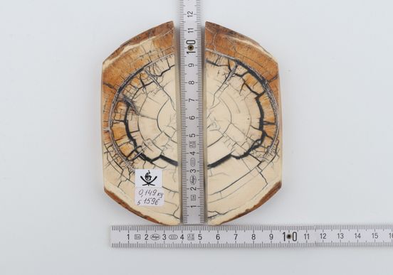 Stabilised mammoth ivory scales