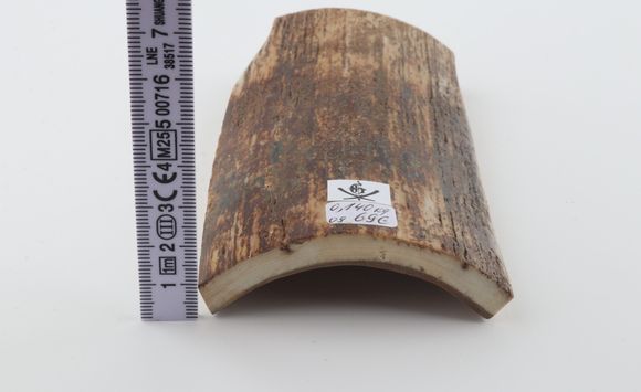 Natural mammoth bark
