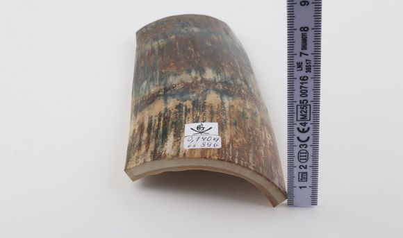 Natural mammoth bark